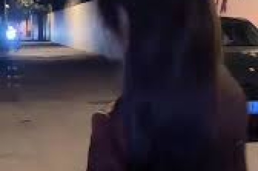 法国查获加州毒品走私案前网红和“假表王子”被起诉
